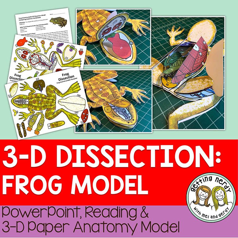 Getting Nerdy Sciencescienstructable D Dissection Frog Model